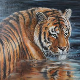 Взгляд тигра