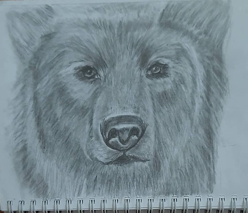 Медведь Михалыч