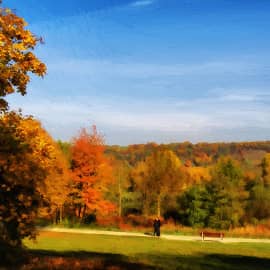 прогулка по осени