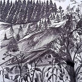 Скалы и лес