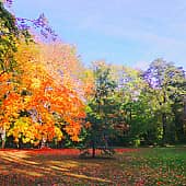 Под солнцем осени.