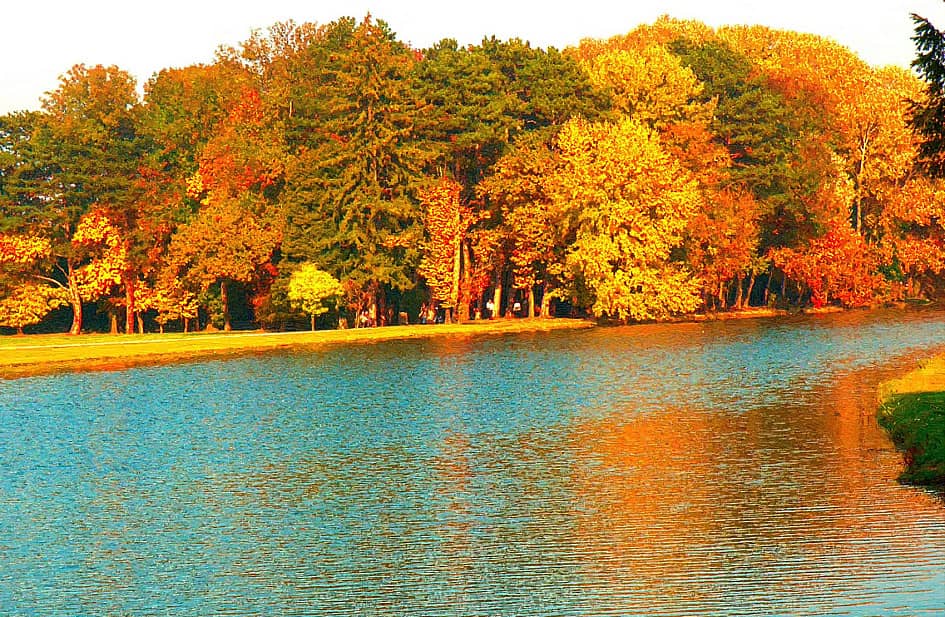 На солнечном берегу.