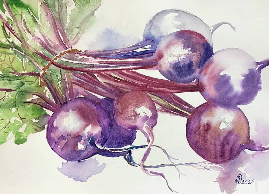 Акварель Свекла