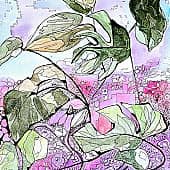 Дыхание природы