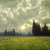 Картина "Солнце безымянного леса"