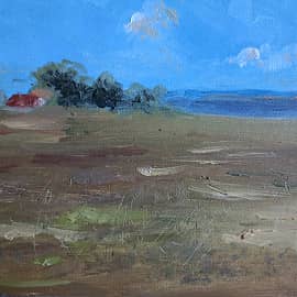 Этюд. Поле у Финского залива