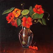 Настурция в темном