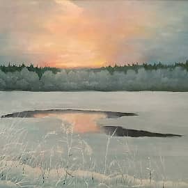 Последняя полынья