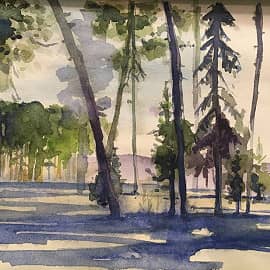 Мартовский лес. Мурыгино