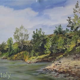 Родные берега, пруд, пленэрная живопись ZhNataly 40х60, холстмасло,