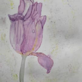 Как коротка пора цветения