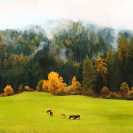 на лугу пасутся Ко...