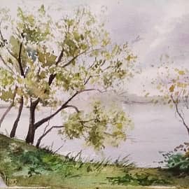 Хмурое утро