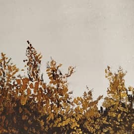 Золотая Осень 2-2025