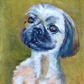 Домашнее животное