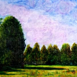 Луг у дороги.