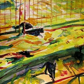 Ночные тени