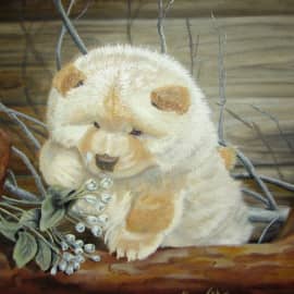 любопытный щенок