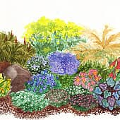 Рассадка на клумбе (журнал "Приусадебное хозяйство")