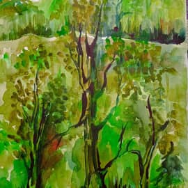 Свежесть леса