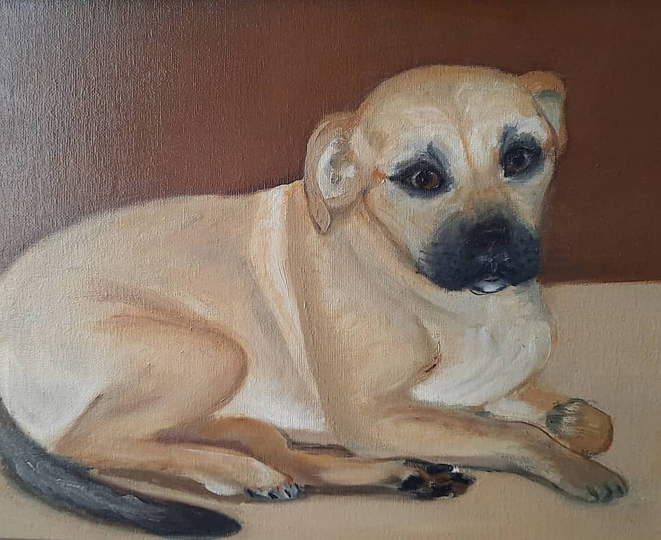 Щенок Ка-де-бо