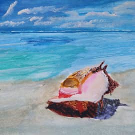 Ракушку выбросило на берег