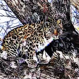 Животные 015