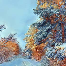 В сосновом лесу.