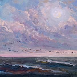 Розовые облака. Птицы летят над водой. Пленэр ZhNataly.