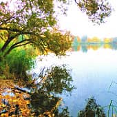 осень у озера