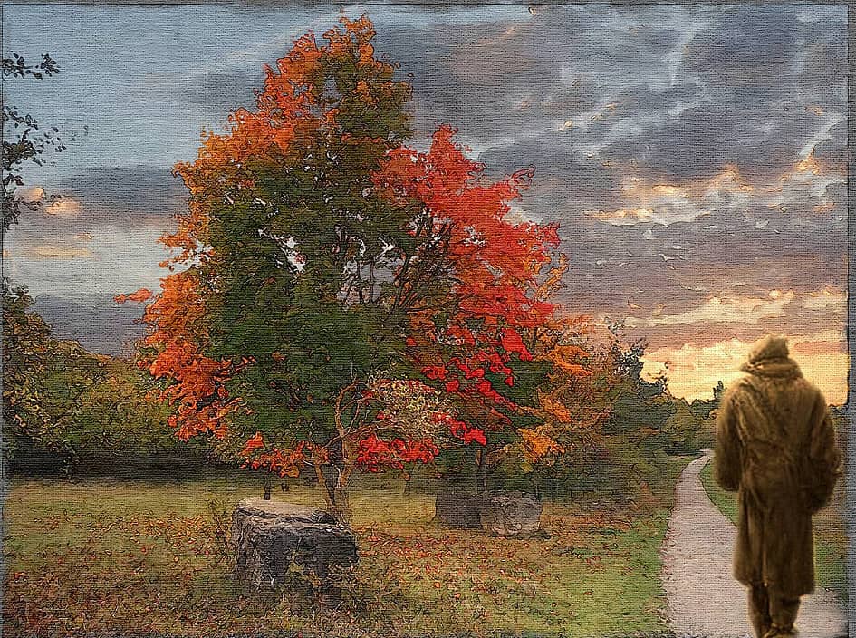 По дороге в осень.