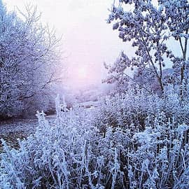 Холодный рассвет.