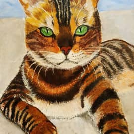 шоколадный котик