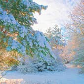 На рассвете.