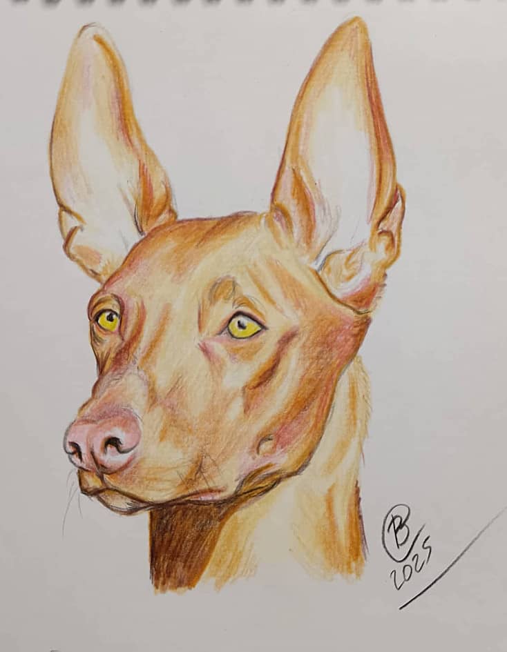 Фараонова собака