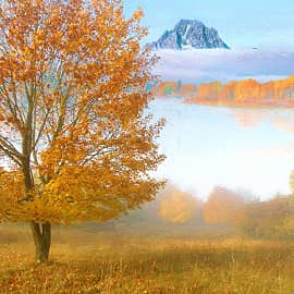 Туман над озером