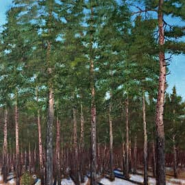 Последний снег