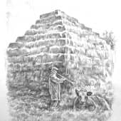 Пирамида древнего индейского народа майя