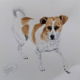 Уличный друг