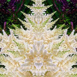 С новым 2024 годом!