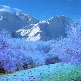 В предгорье.