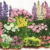 Пример рассадки на клумбе (Журнал "Цветы в саду и дома")