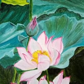 Водяная лилия