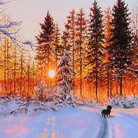 Навстречу солнцу