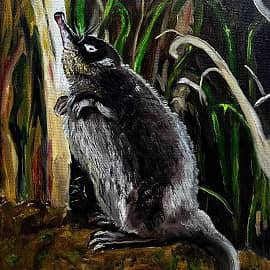 Русская выхухоль