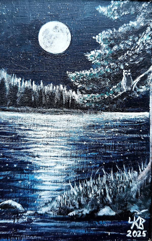 Ночь у лесного озера