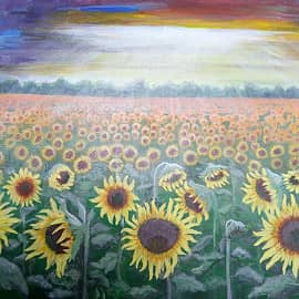 Подсолнухи.