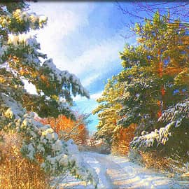 Солнечный день.