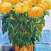 Хризантемы.