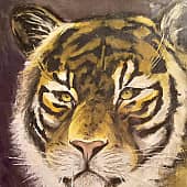 большая киса